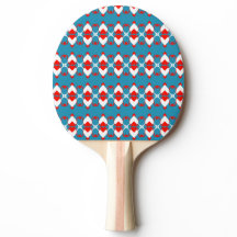 Ping Pong Paddles | Bord Tennis Rackets