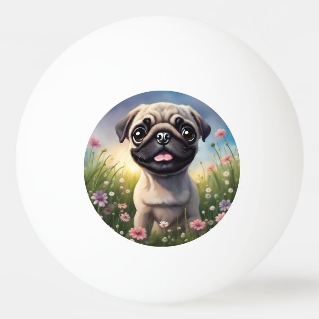 Ping Pug Boll (Framsidan)