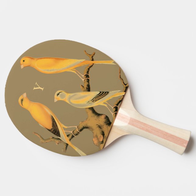 Pingisracket – Yorkshire Canaries-design (Sidan)