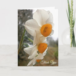Pingstlilja. Flower. Tack Kort