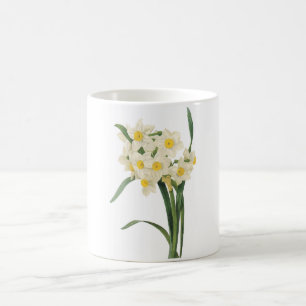 pingstlilja (pingstliljatazetta) vid Redouté Kaffemugg