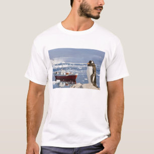 Pingvin Adeliepingvin T Shirt