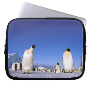 Pingvin Antarktis, Antarktiska halvön Laptop Sleeve