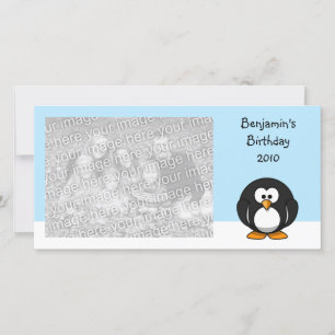 Pingvin Blank Foto Stil Meddelande