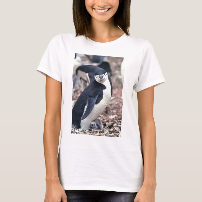 Pingvin Fågel Söt Djur Svart Vitt Vatten T-shirt (Framsida)