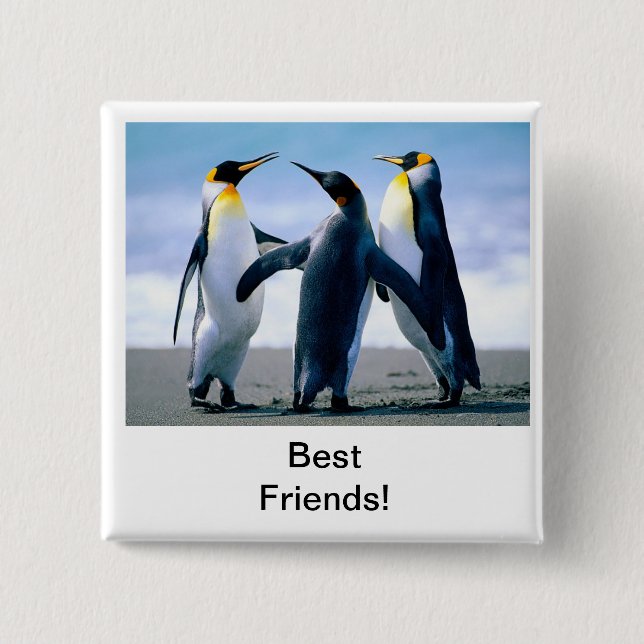 pingvin knapp (Framsida)