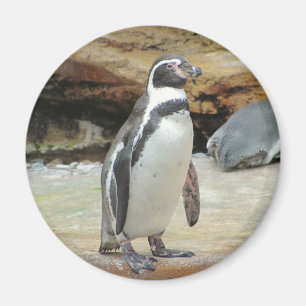 Pingvin Magnet