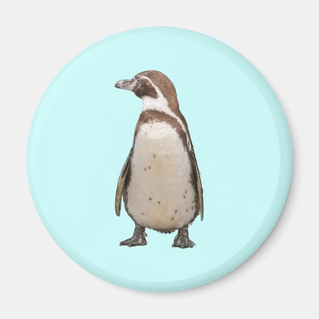 Pingvin Magnet (Framsidan)