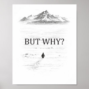 Pingvin Men Varför Berg Poster