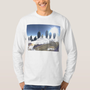pingvin t shirt