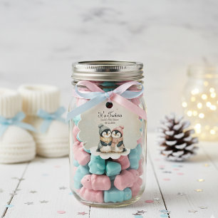 Pingvin Vinter Tvillingar Baby Shower Pojke Flicka Gåvor Etiketter