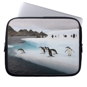 Pingviner av arten strimpingvin laptop sleeve
