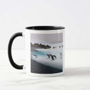 Pingviner av arten strimpingvin mugg