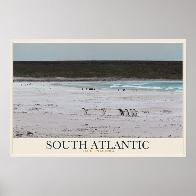 Pingviner längs en sydlig strand poster (Framsidan)