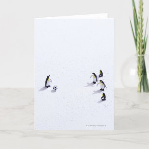 Pingviner som spelar fotboll kort