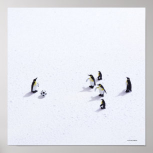 Pingviner som spelar fotboll poster