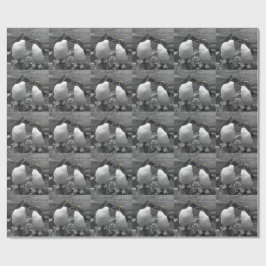 Pingvinfärgssplash Presentpapper