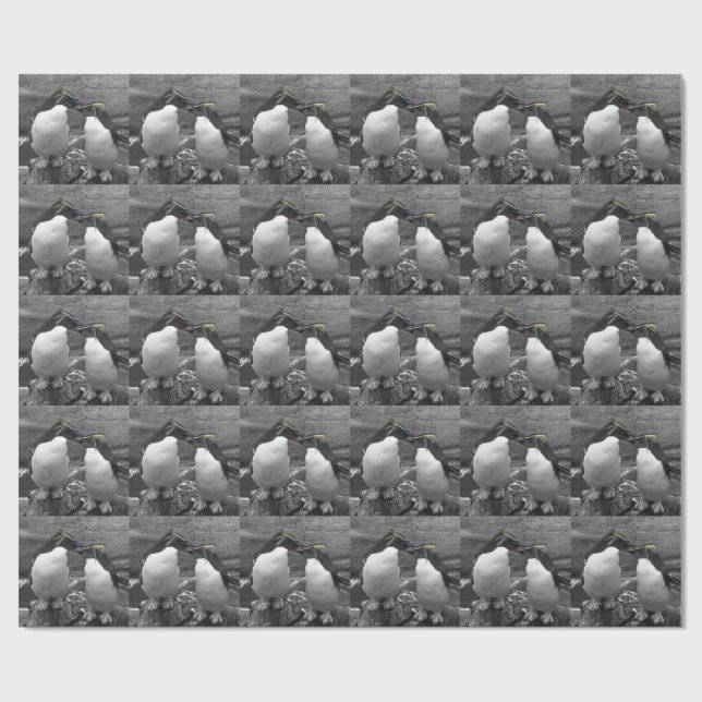 Pingvinfärgssplash Presentpapper (Platt)