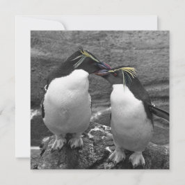 Pingvinfärgssplash Spara Datumet