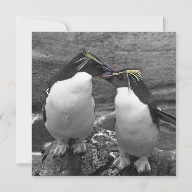 Pingvinfärgssplash Spara Datumet (Framsida)