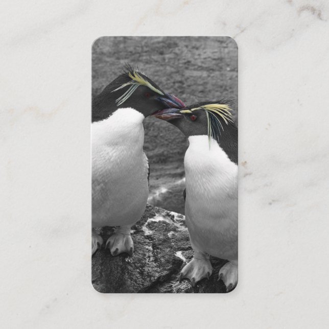 Pingvinfärgssplash Visitkort (Framsida)