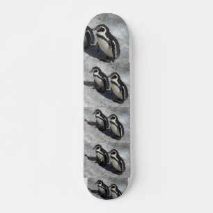 PINGVINFLÄKT SKATEBOARD BRÄDA 20 CM