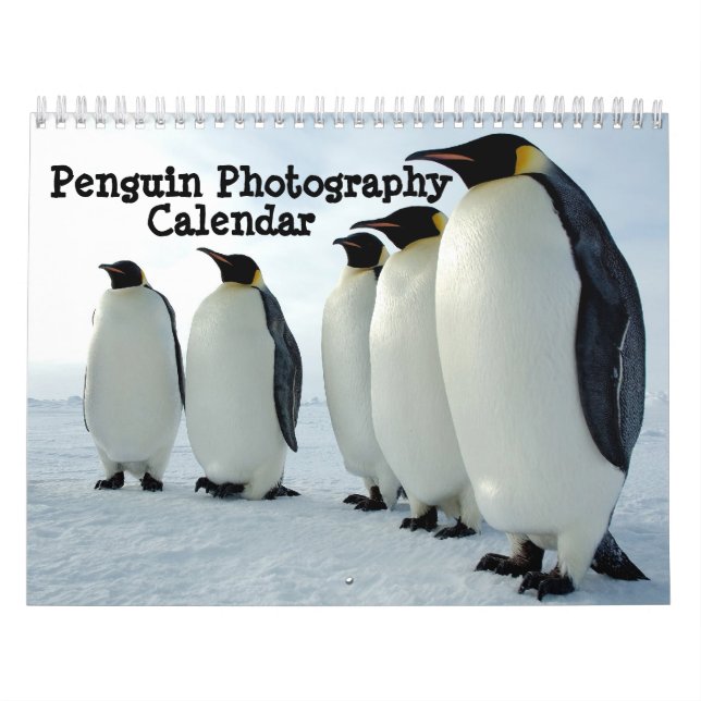 Pingvinfotografikalender Kalender (Omslag)