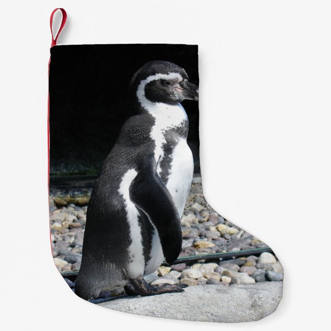 Pingvinjulstrumpa Liten Julstrumpa (Framsidan)