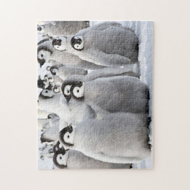 Pingvinkompisar Pussel (Vertikal)