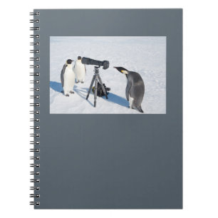 PingvinPaparazzianteckningsbok Anteckningsbok
