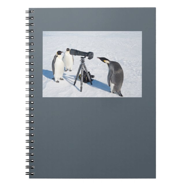 PingvinPaparazzianteckningsbok Anteckningsbok (Framsidan)