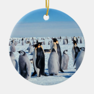 Pingvinsammankomst Julgransprydnad Keramik