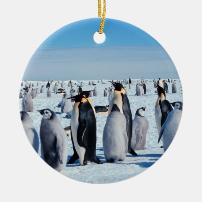 Pingvinsammankomst Julgransprydnad Keramik (Framsidan)