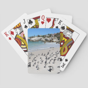 Pingvinstenblockstrand   Sydafrika Casinokort