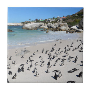 Pingvinstenblockstrand Sydafrika Kakelplatta