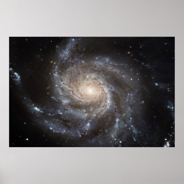 Pinjul Galaxy M101 78x52 (57x38) Poster (Framsidan)