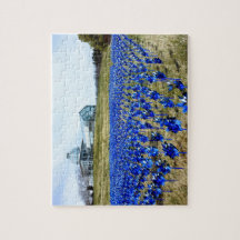 Pinjul Garden LGBG Richmond VA