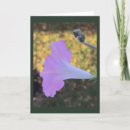 Pink and Gold Sparkle Morning Glory Blank Kort