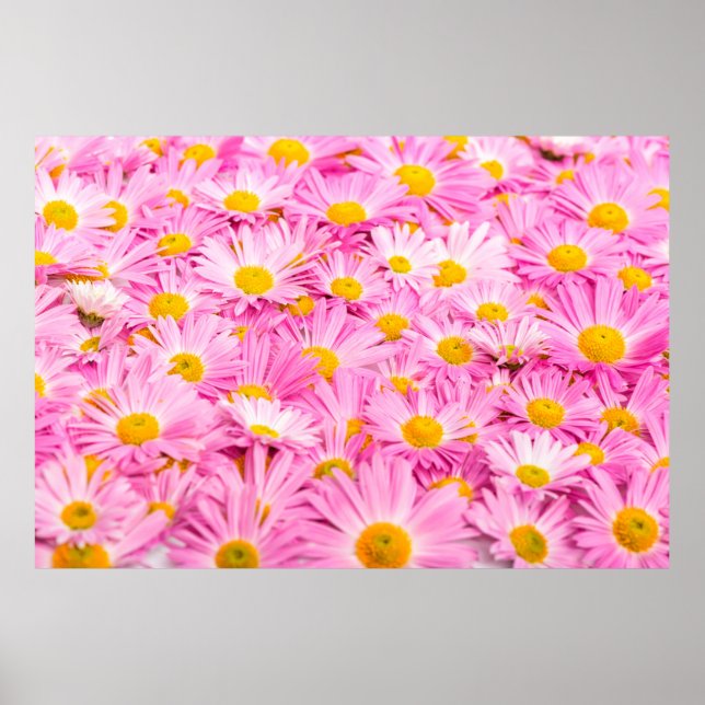 Pink and yellow flowers background  poster (Framsidan)