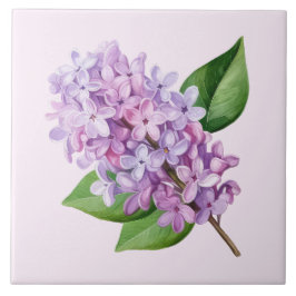 Pink Background Lilac Blossom Art Kakelplatta