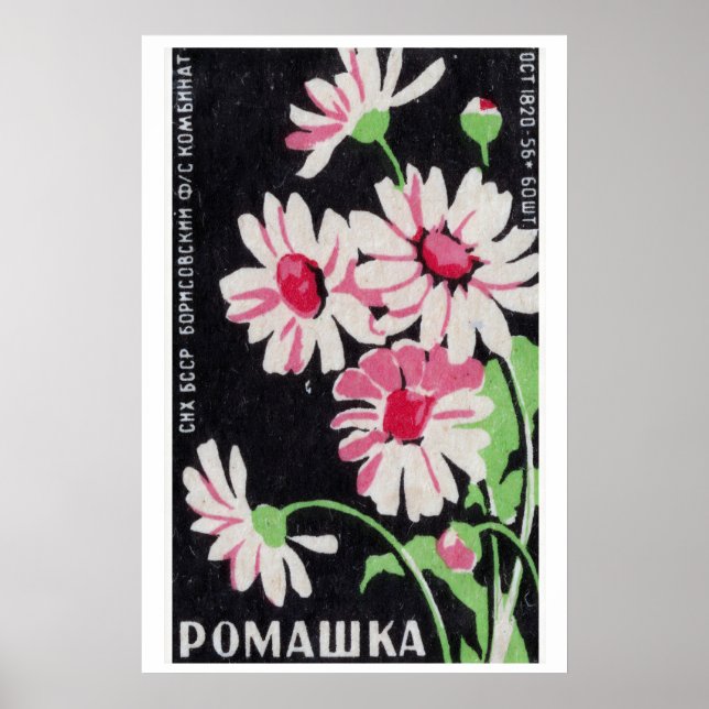 Pink Chamomile Flowers Matchbox Art Print, Russian Poster (Framsidan)