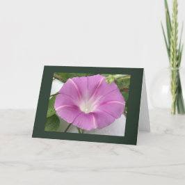 Pink Charm Morning Glory Blank Kort