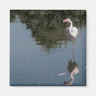 pink flamingo in the water magnet