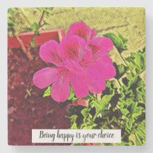 Pink flower blooming in the garden