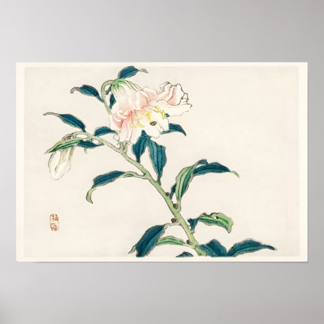  Pink Flower Poster (Framsidan)