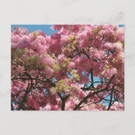 pink flower tree helg vykort