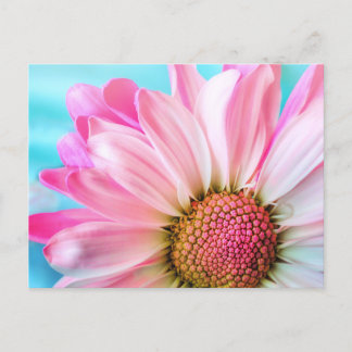 Pink flower vykort