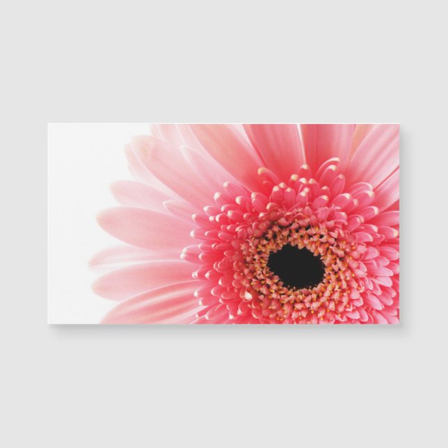 Pink Gerbera Daisy  (Framsida)