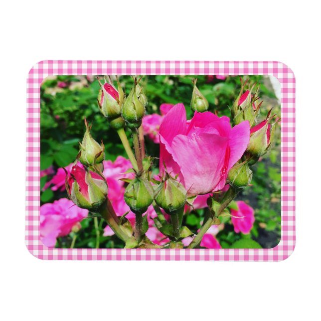 Pink Gingham Plaid Rose Garden Photo Magnet (Horisontell)