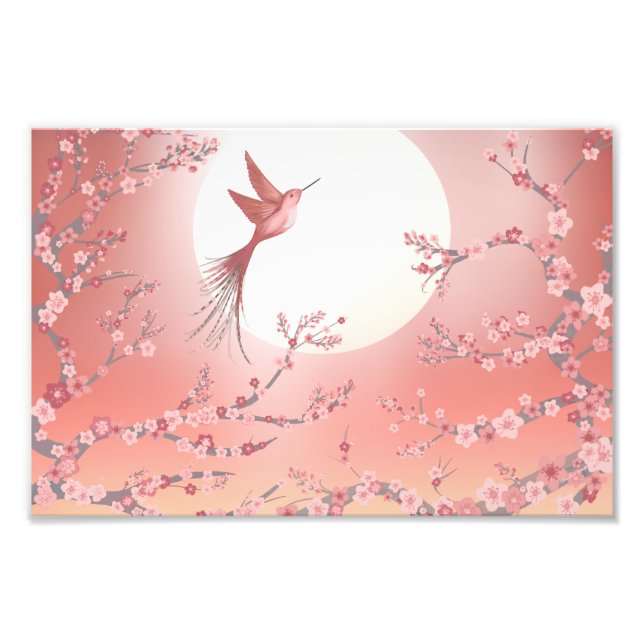 Pink hummingbird moonlight Calm art poster  (Framsidan)